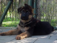 /album/a7-weeks/stenka-b-vrh-080-jpg/